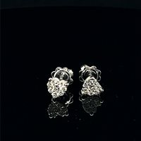 Ohrringe Recarlo Dame in Gold Diamante 0.26 Ct XD 933/040 - XD 933/040